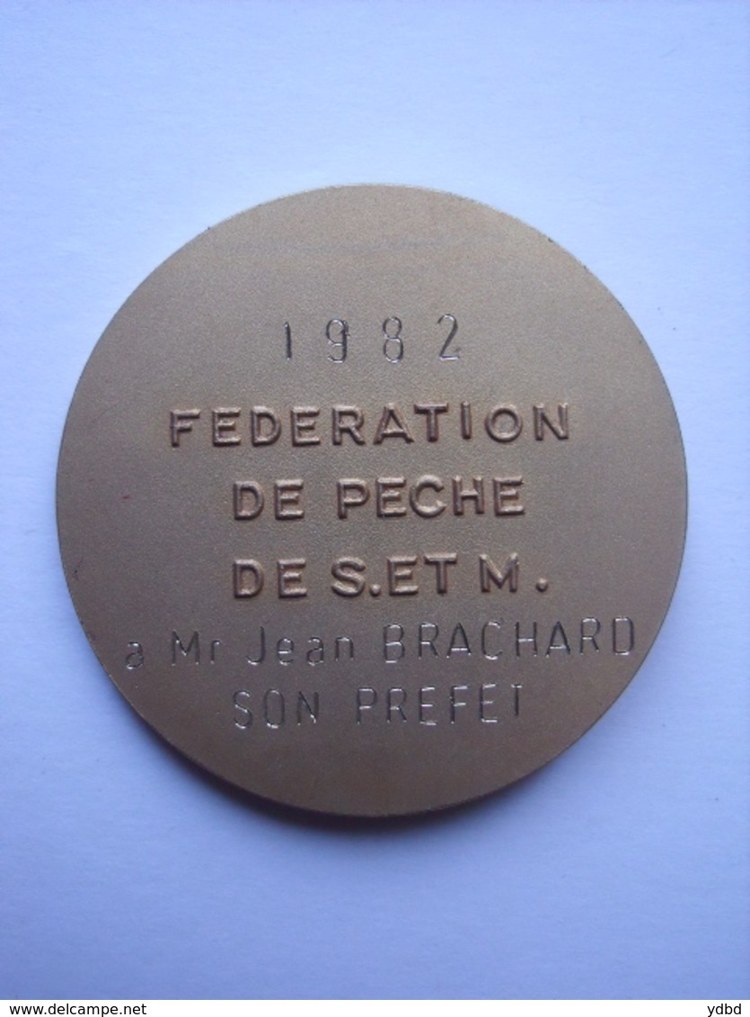 BELLE MEDAILLE  - BRONZE-  FEDERATION DE PÊCHE DE SEINE ET MARNE - Professionnels / De Société