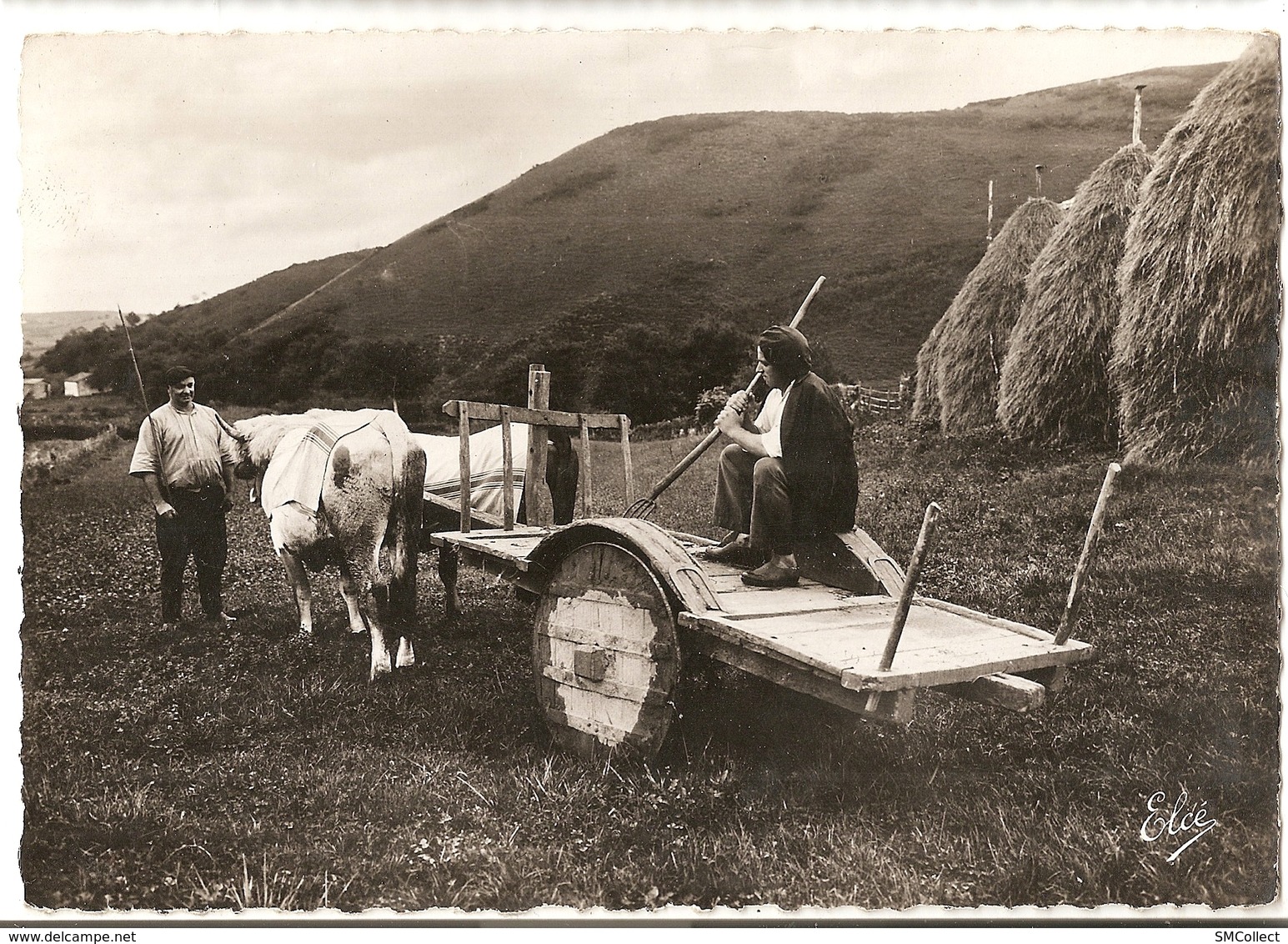 Pays Basque, L'attelage Du Pays (GF243) - Autres & Non Classés