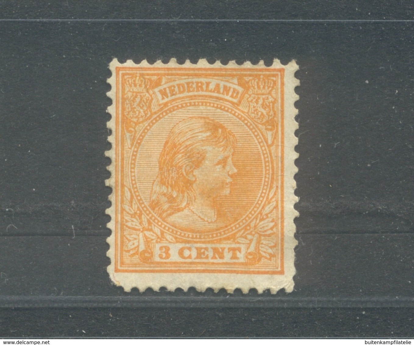 Nvph 34 Ongebruikt Zonder Gom - Unused Stamps