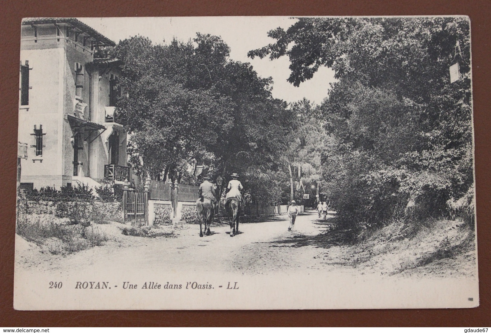 ROYAN (17) - UNE ALLEE DANS L'OASIS - Royan