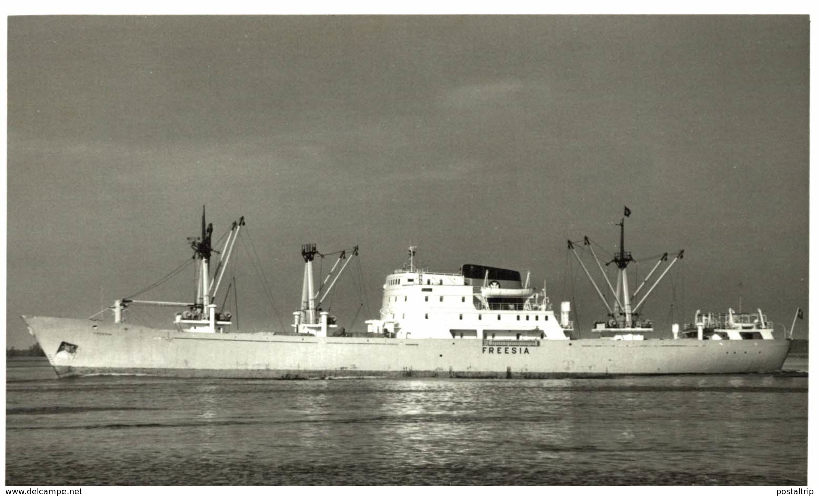 FREESIA 13,5 X 9 Cm  BARCO, BATEAU, SHIP  DINAMARCA, DENMARK, DANEMARK - Barcos