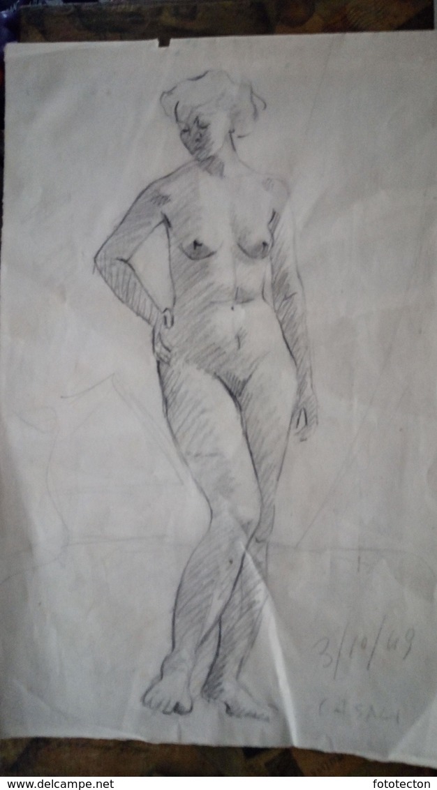 Arte, Art - Disegno A Matita, Schizzo - Pencil Sketch - Female Nude, Nudo Femminile - "3-10-49 Casali" - 19x30cm - Other & Unclassified
