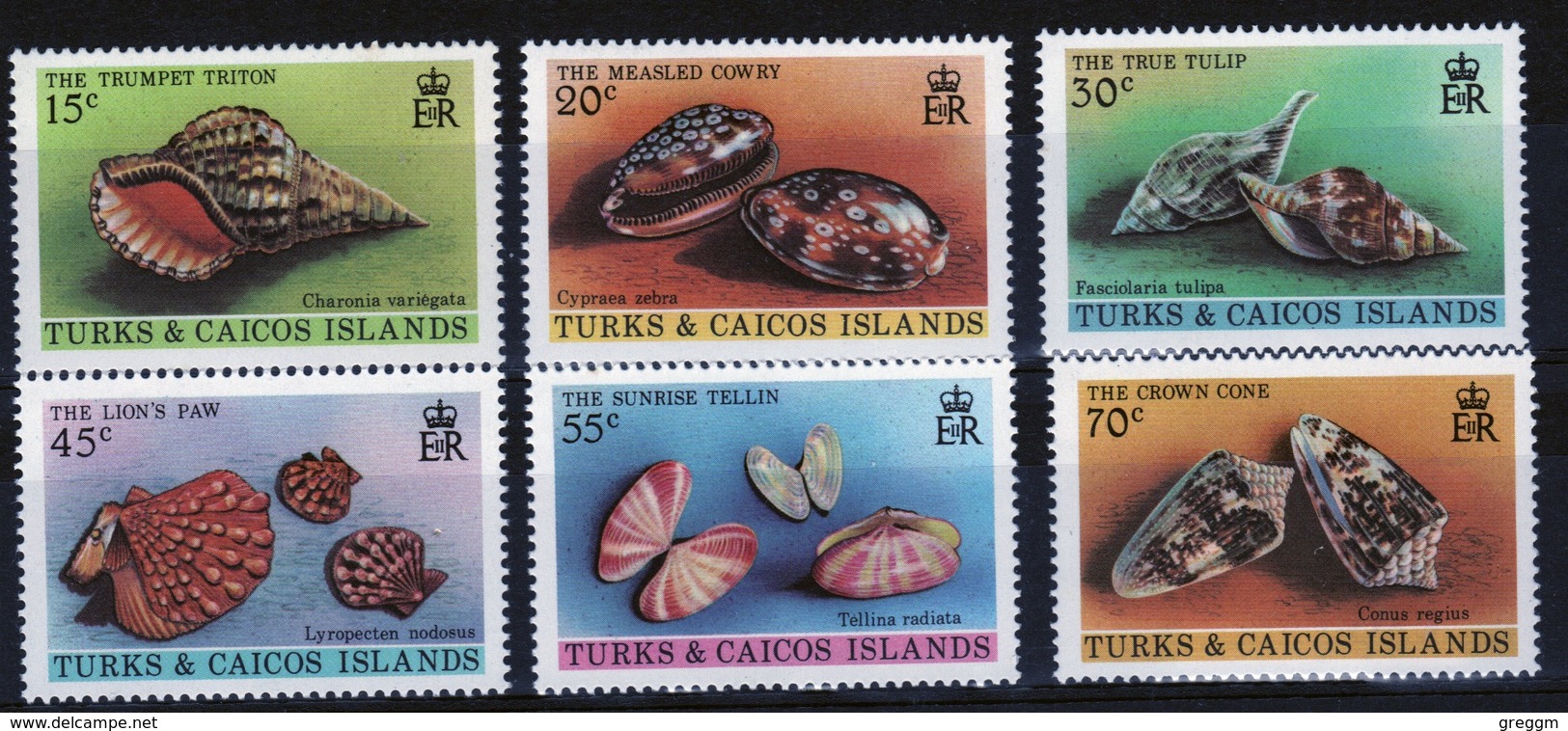 Turks And Caicos Set Of Stamps To Celebrate Sea Shells. - Turks And Caicos