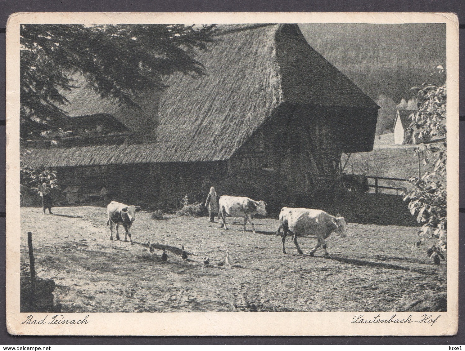 GERMANY ,  Bad Teinach    ,  OLD  POSTCARD - Bad Teinach