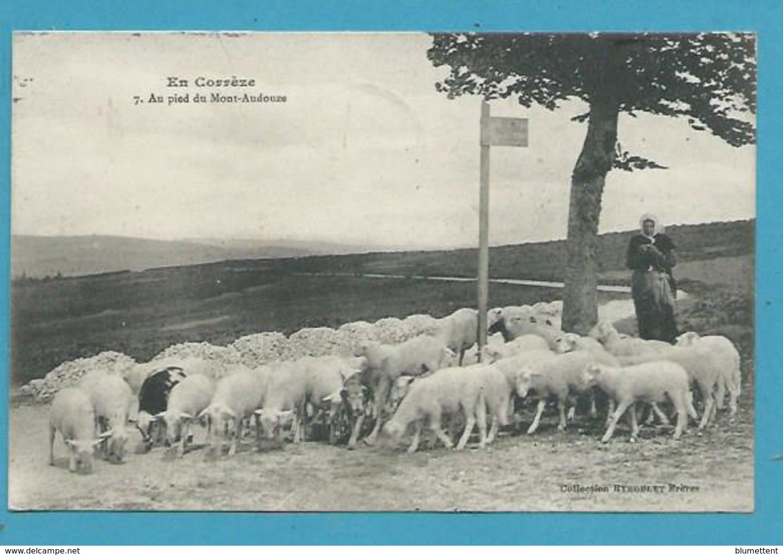 CPA 7 - Métier Berger Moutons Au Pied Du Mont-Audouze MILLEVACHES EN CORREZE 19 - Autres & Non Classés