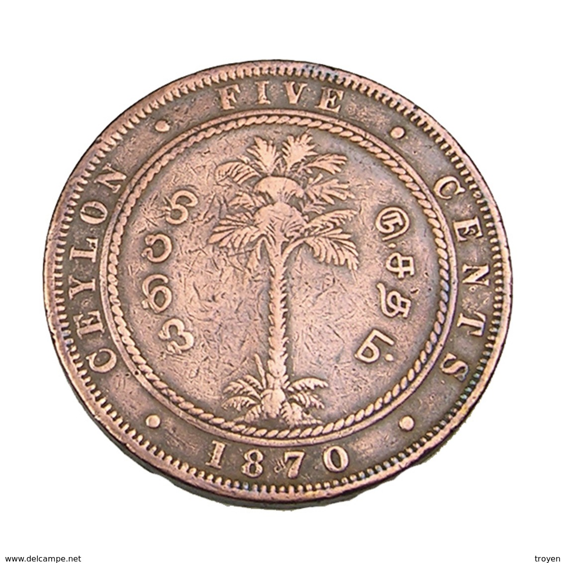 5 Cent - Ceylan - Victoria - 1870 - Cuivre - TB + - - Sri Lanka