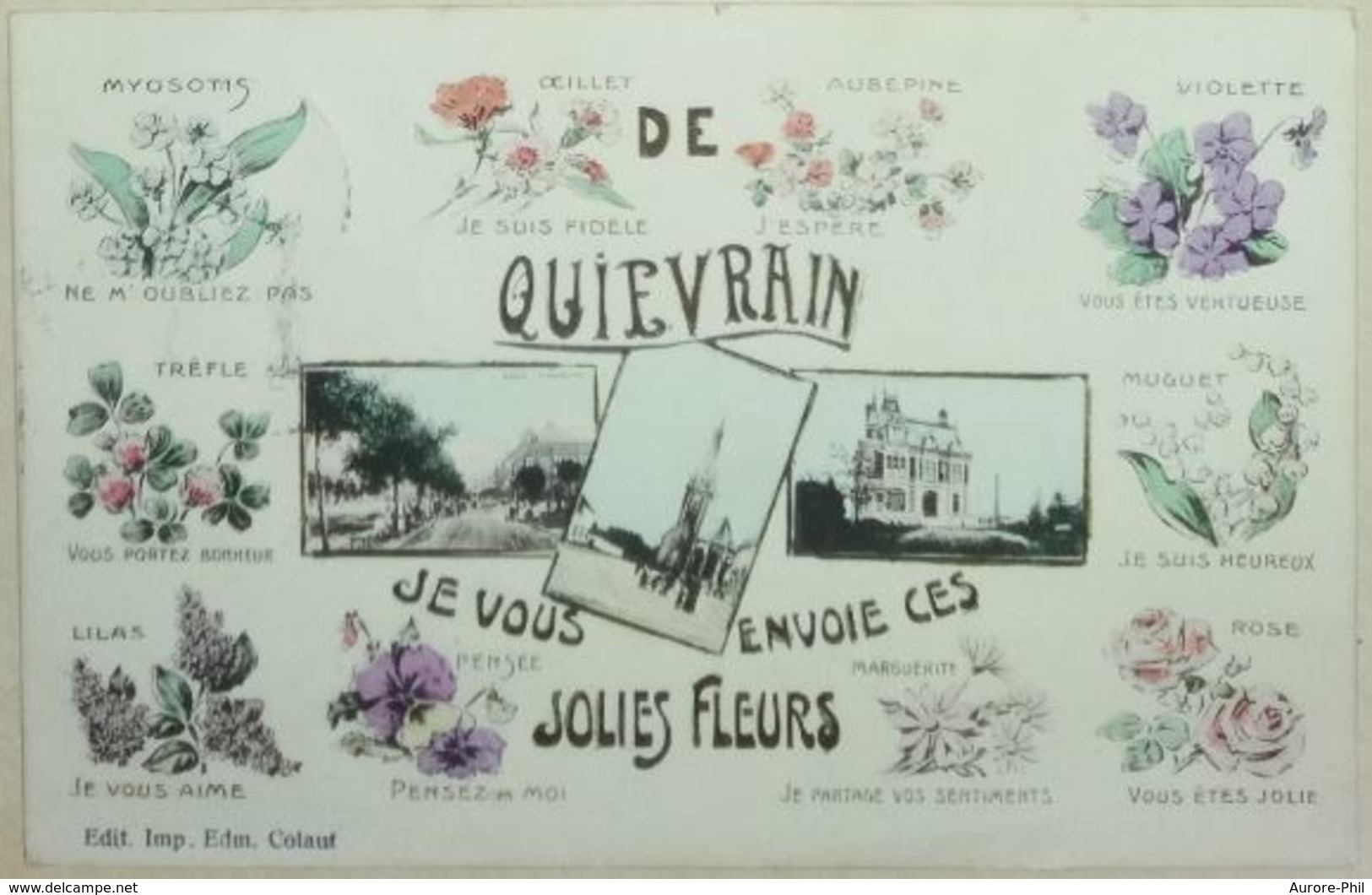 Quiévrain Carte Fantaisie - Je Vous Envoie Ces Jolies Fleurs - Quiévrain