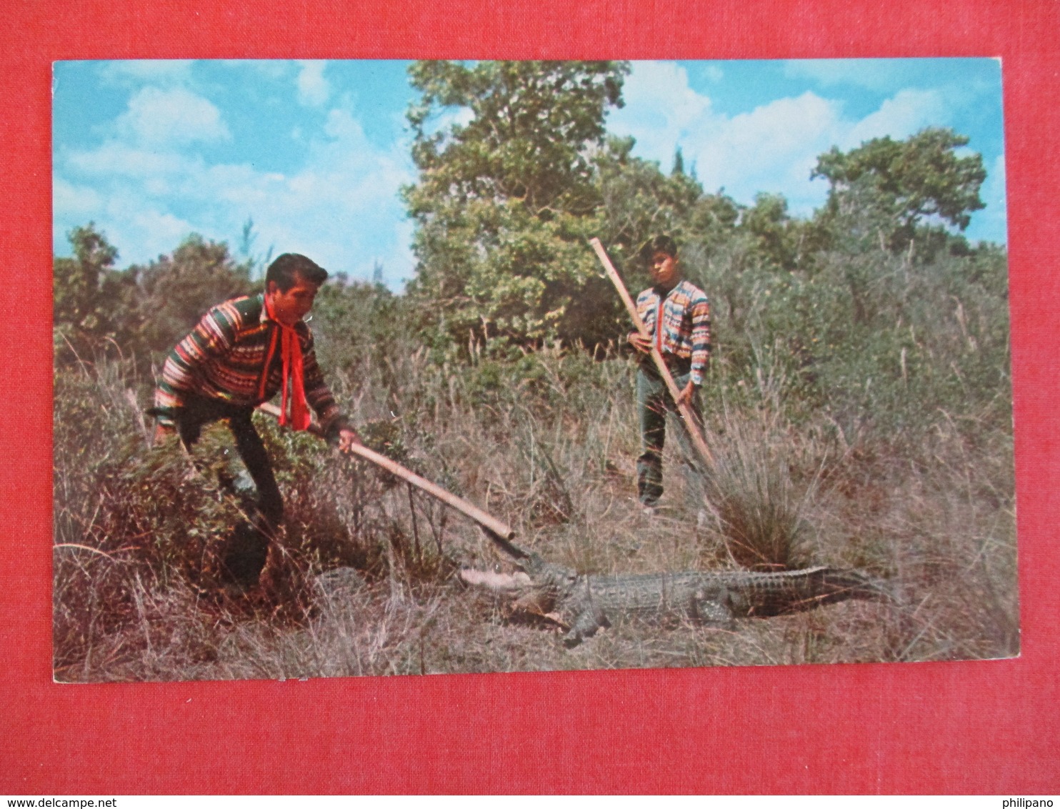 Seminole Indians On Gator Hunt  Everglades Fl. ------ Ref 2950 - Native Americans