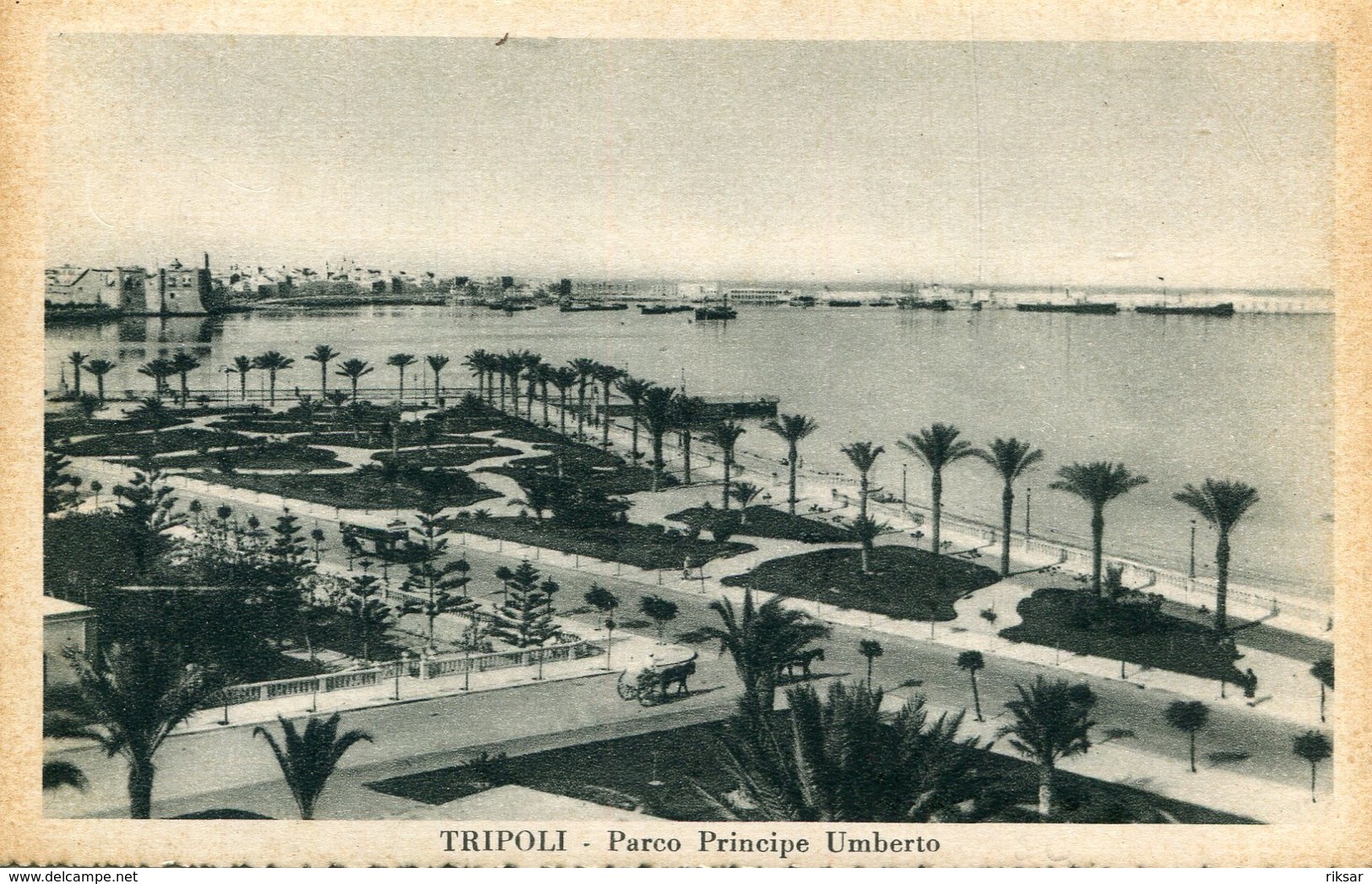 LIBYE(TRIPOLI) - Libia