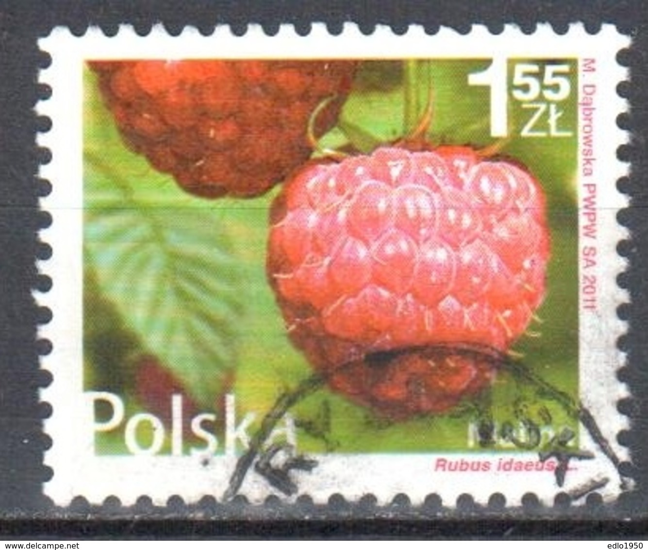 Poland 2011 - Fruits - Mi 4546 - Used Gestempelt - Oblitérés