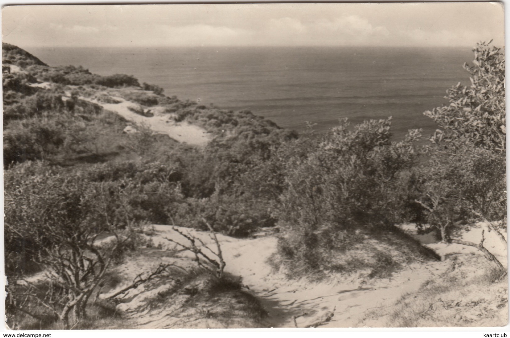 Kloster (Hiddensee) - Dornbusch - Hiddensee