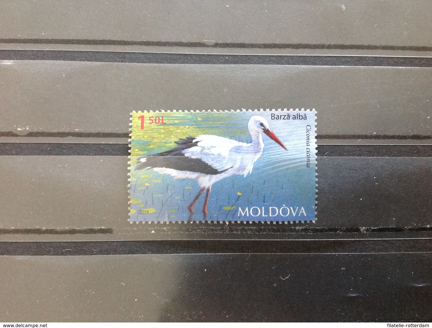 Moldavië / Moldova - Vogels (1.50) 2014 - Moldavië