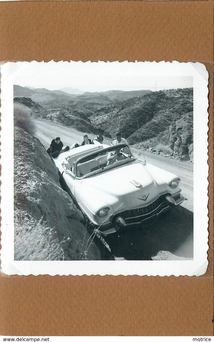 VOITURE AMERICAINE - Modèle à Déterminer, USA  ,photo Année 1956, Format 8,8cm X 9cm . - Automobiles