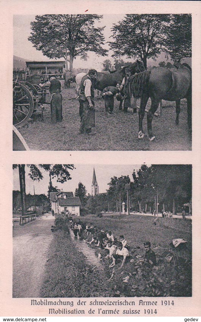 Armée Suisse, Mobilisation Guerre 14-18, Cavalerie (2053) - Weltkrieg 1914-18