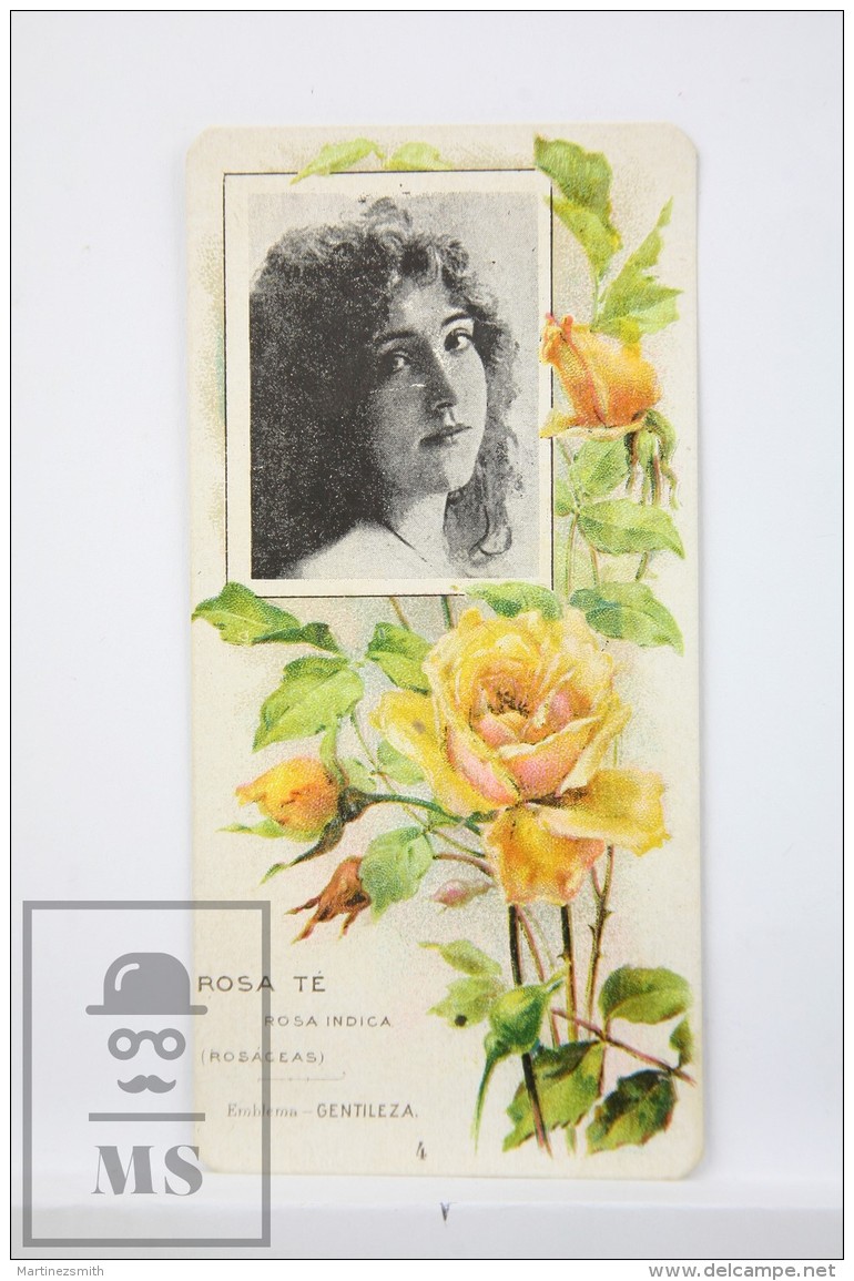 Old Modernist Trading Card / Chromo Flower - Indian Rose &amp; Model - Jaime Boix N&ordm; 4 - Otros & Sin Clasificación