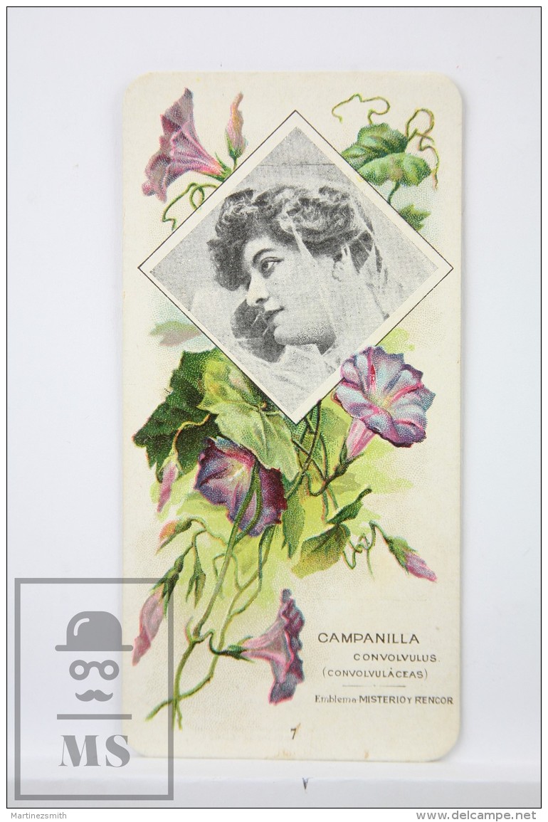 Old Modernist Trading Card / Chromo Flower -  Bellflower &amp; Model - Jaime Boix N&ordm; 7 - Otros & Sin Clasificación