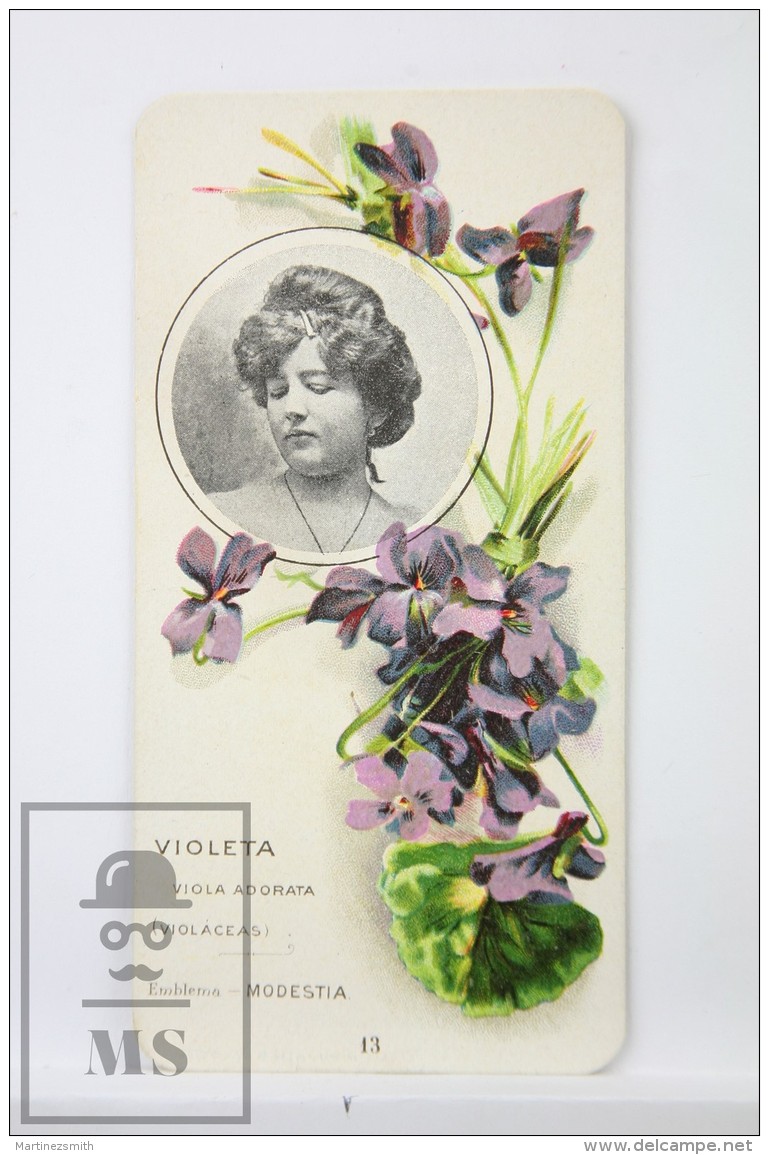 Old Modernist Trading Card / Chromo Flower -  Violet &amp; Model - Jaime Boix N&ordm; 13 - Otros & Sin Clasificación