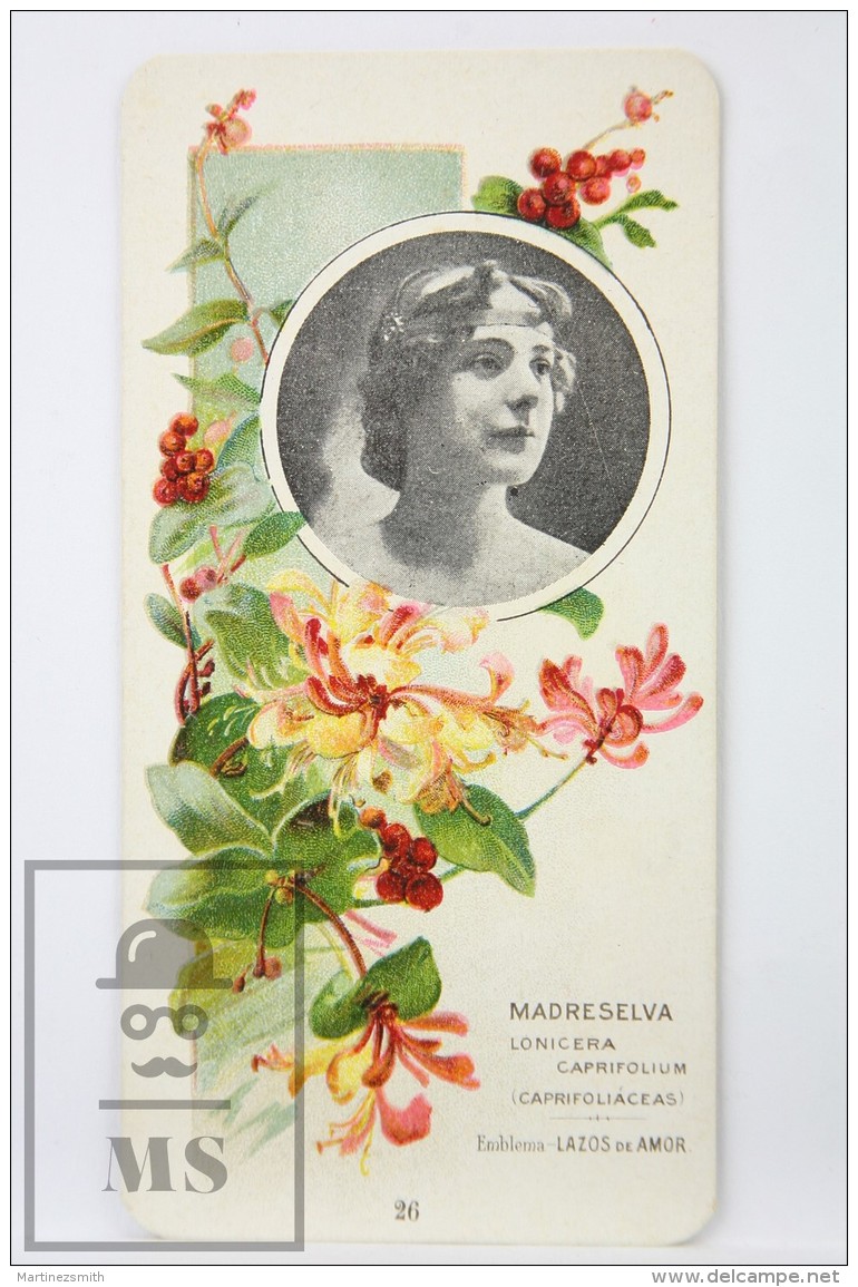 Old Modernist Trading Card / Chromo Flower -  Honeysuckle &amp; Model - Jaime Boix N&ordm; 25 - Otros & Sin Clasificación