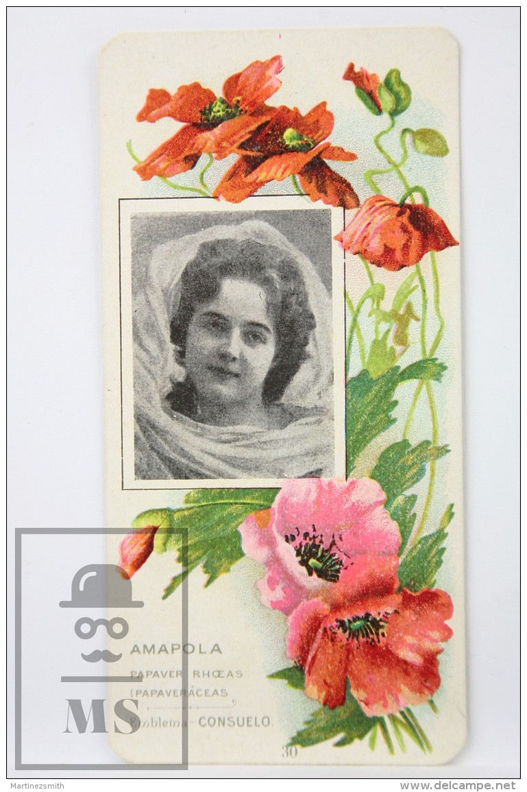 Old Modernist Trading Card / Chromo Flower -  Poppy &amp; Model - Jaime Boix N&ordm; 30 - Otros & Sin Clasificación