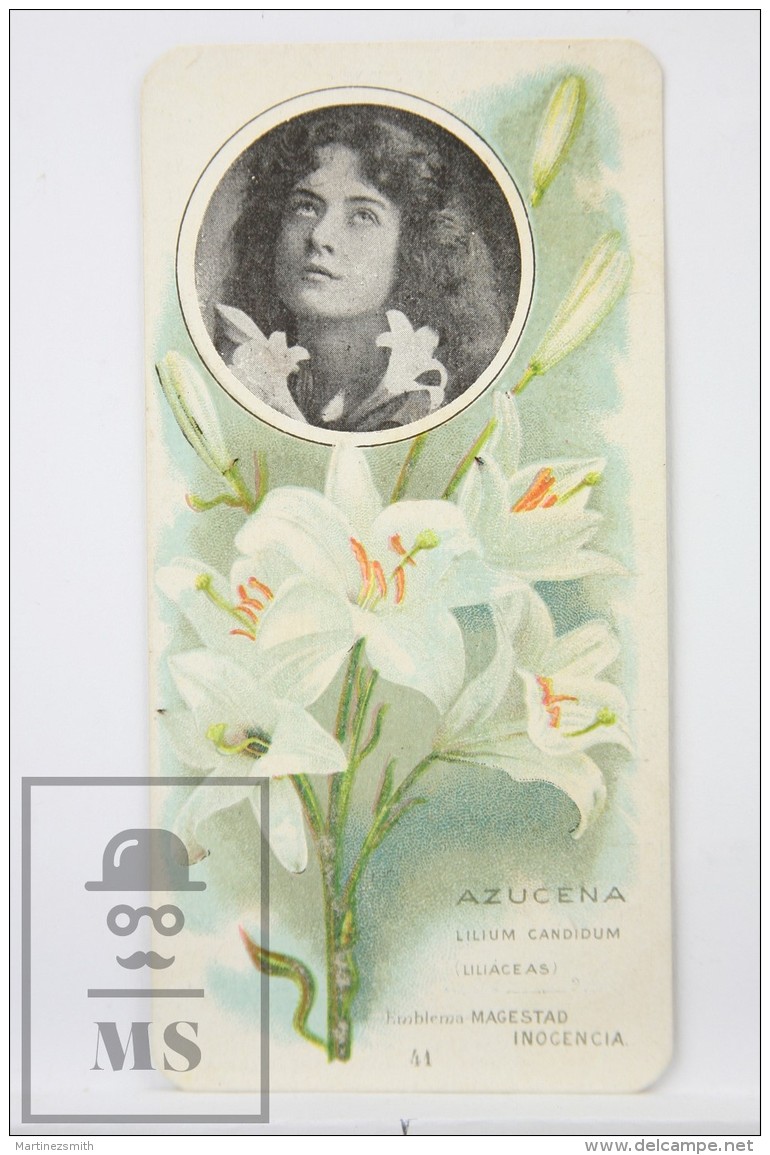 Old Modernist Trading Card / Chromo Flower - Lily &amp; Model - Jaime Boix N&ordm; 41 - Otros & Sin Clasificación