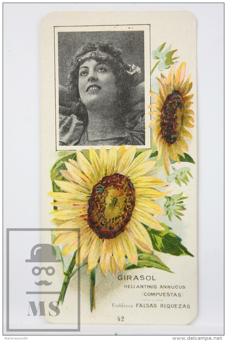 Old Modernist Trading Card / Chromo Flower - Sunflower &amp; Model - Jaime Boix N&ordm; 42 - Otros & Sin Clasificación