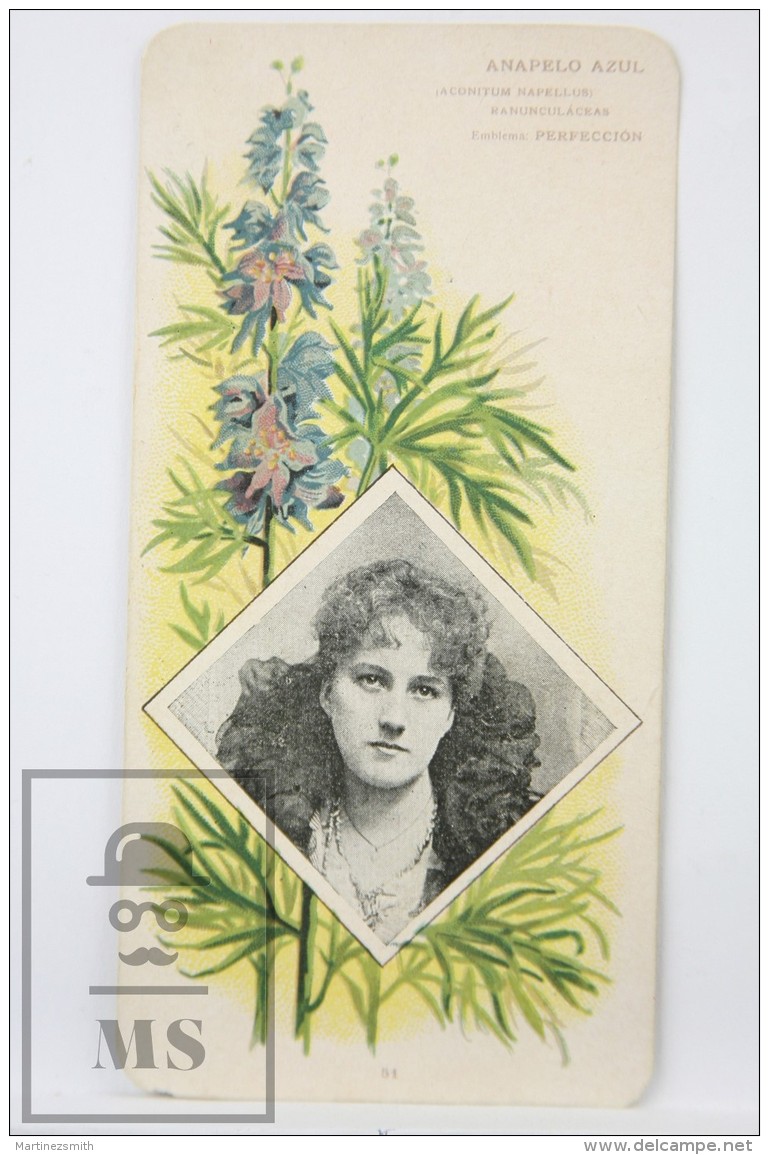 Old Modernist Trading Card / Chromo Flower - Wolfsbane &amp; Model - Jaime Boix N&ordm; 51 - Otros & Sin Clasificación