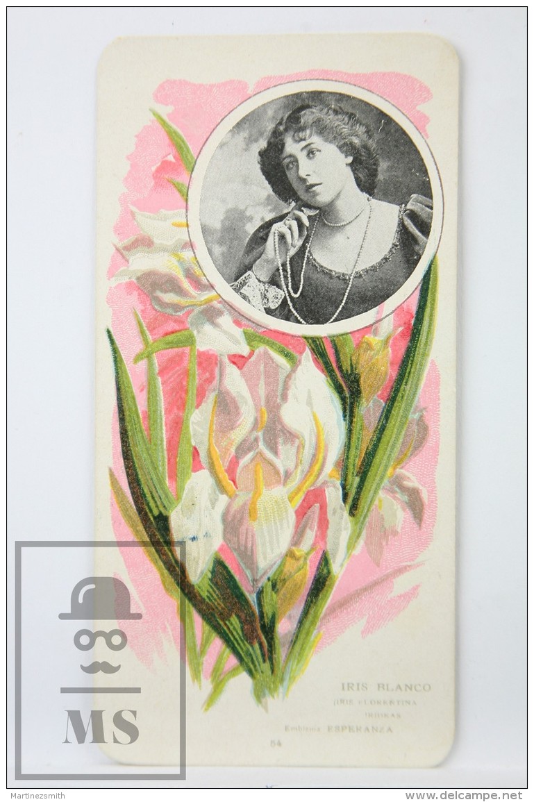 Old Modernist Trading Card / Chromo Flower - White Iris &amp; Model - Jaime Boix N&ordm; 54 - Otros & Sin Clasificación