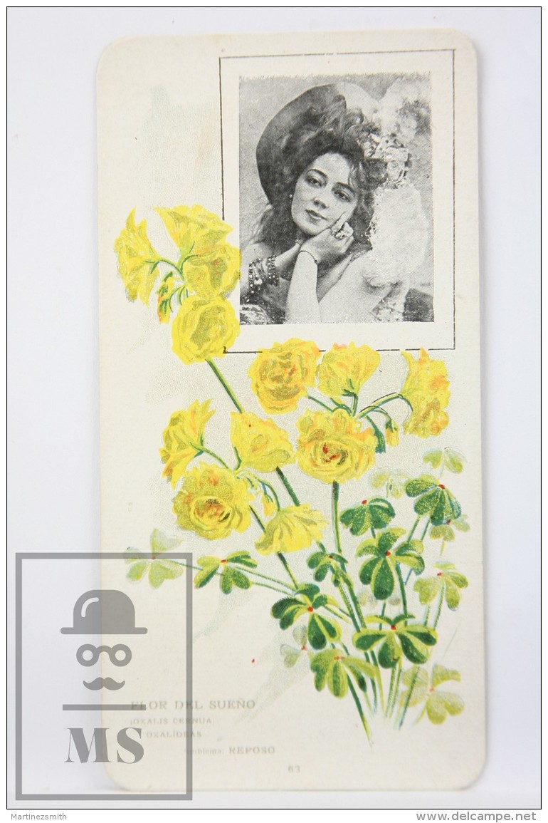 Old Modernist Trading Card / Chromo Flower - Oxalis (Buttercup) &amp; Model - Jaime Boix N&ordm; 63 - Otros & Sin Clasificación