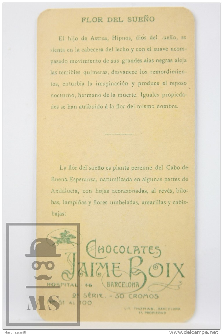 Old Modernist Trading Card / Chromo Flower - Oxalis (Buttercup) &amp; Model - Jaime Boix N&ordm; 63 - Otros & Sin Clasificación
