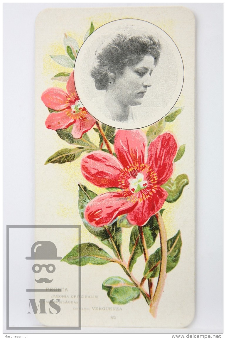 Old Modernist Trading Card / Chromo Flower - Peony &amp; Model - Jaime Boix N&ordm; 82 - Otros & Sin Clasificación