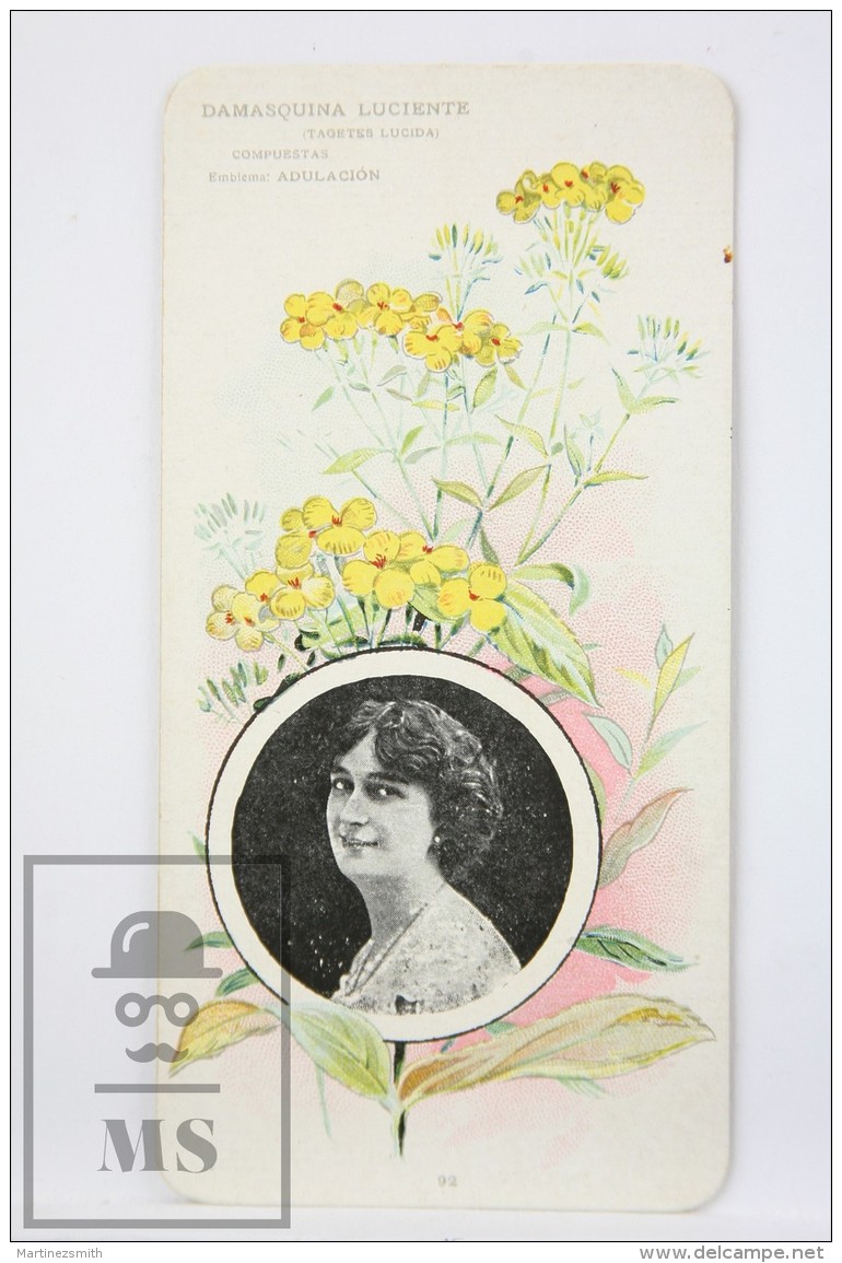 Old Modernist Trading Card / Chromo Flower - Mexican Marigold &amp; Model - Jaime Boix N&ordm; 92 - Otros & Sin Clasificación