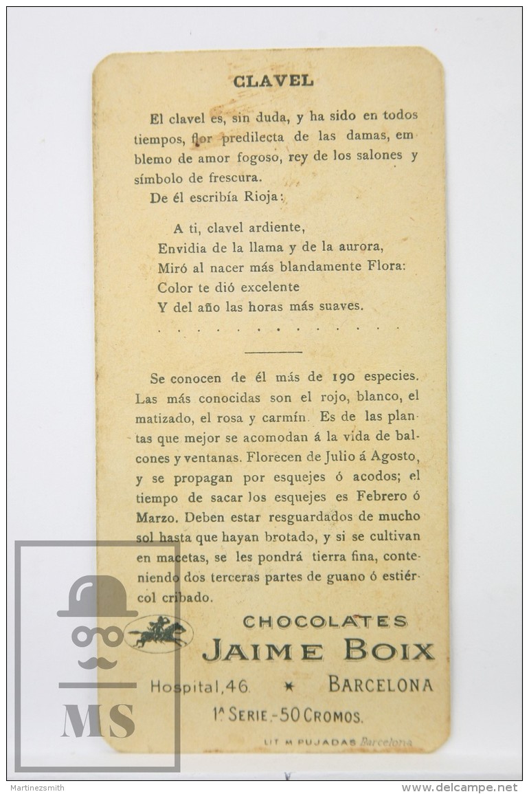 Old Modernist Trading Card / Chromo Flower - Carnation &amp; Model - Jaime Boix N&ordm; 33 - Otros & Sin Clasificación