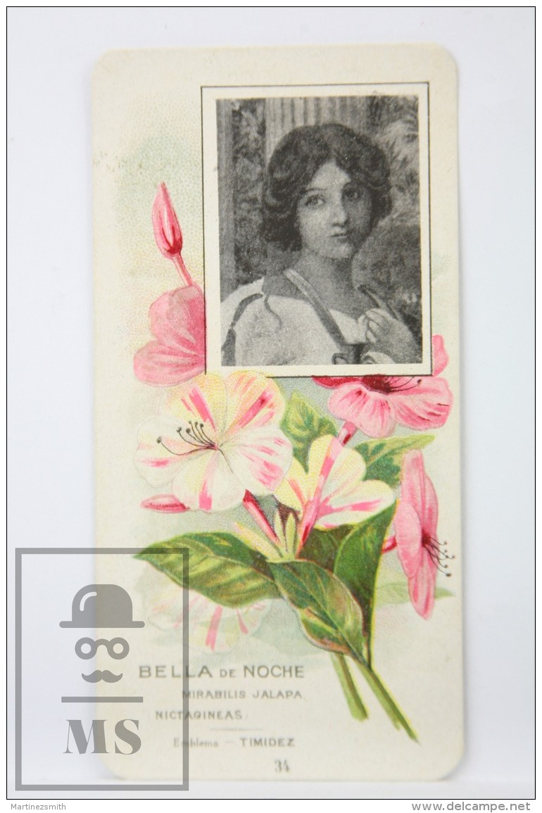 Old Modernist Trading Card / Chromo Flower - Mirabilis &amp; Model - Jaime Boix N&ordm; 34 - Otros & Sin Clasificación