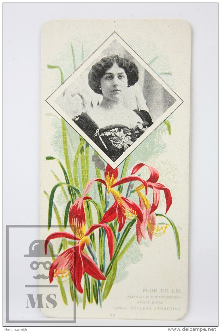 Old Modernist Trading Card / Chromo Flower - Amaryllis Lis &amp; Model - Jaime Boix N&ordm; 52 - Otros & Sin Clasificación