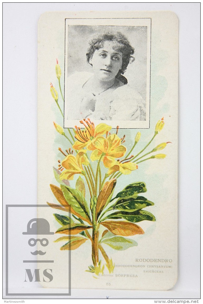 Old Modernist Trading Card / Chromo Flower - Rhododendron &amp; Model - Jaime Boix N&ordm; 55 - Otros & Sin Clasificación