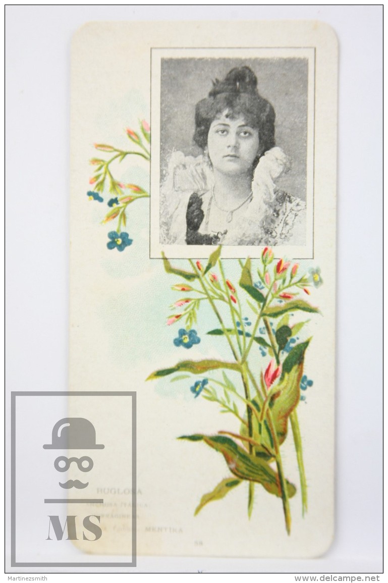 Old Modernist Trading Card / Chromo Flower - Bugloss &amp; Model - Jaime Boix N&ordm; 58 - Otros & Sin Clasificación