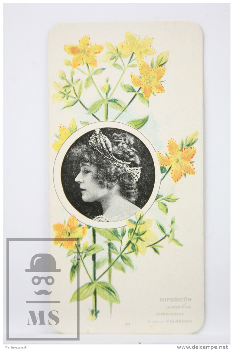 Old Modernist Trading Card / Chromo Flower - Hypericon &amp; Model - Jaime Boix N&ordm; 61 - Otros & Sin Clasificación