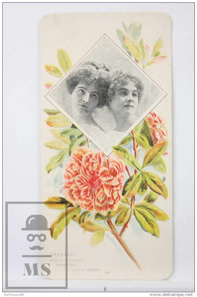 Old Modernist Trading Card / Chromo Flower - Pomegranate &amp; Model - Jaime Boix N&ordm; 64 - Otros & Sin Clasificación