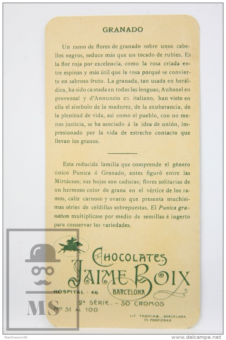 Old Modernist Trading Card / Chromo Flower - Pomegranate &amp; Model - Jaime Boix N&ordm; 64 - Otros & Sin Clasificación