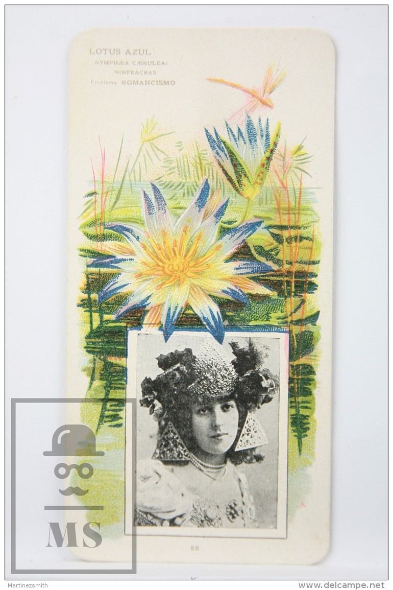 Old Modernist Trading Card / Chromo Flower - Blue Lotus &amp; Model - Jaime Boix N&ordm; 88 - Otros & Sin Clasificación