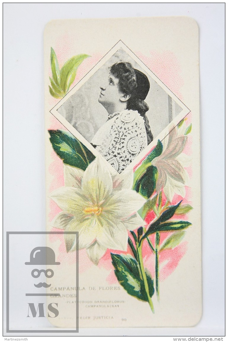 Old Modernist Trading Card / Chromo Flower - Harebell &amp; Model - Jaime Boix N&ordm; 90 - Otros & Sin Clasificación