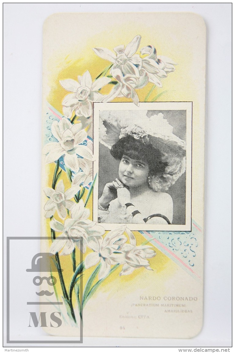 Old Modernist Trading Card / Chromo Flower - Nard &amp; Model - Jaime Boix N&ordm; 94 - Otros & Sin Clasificación
