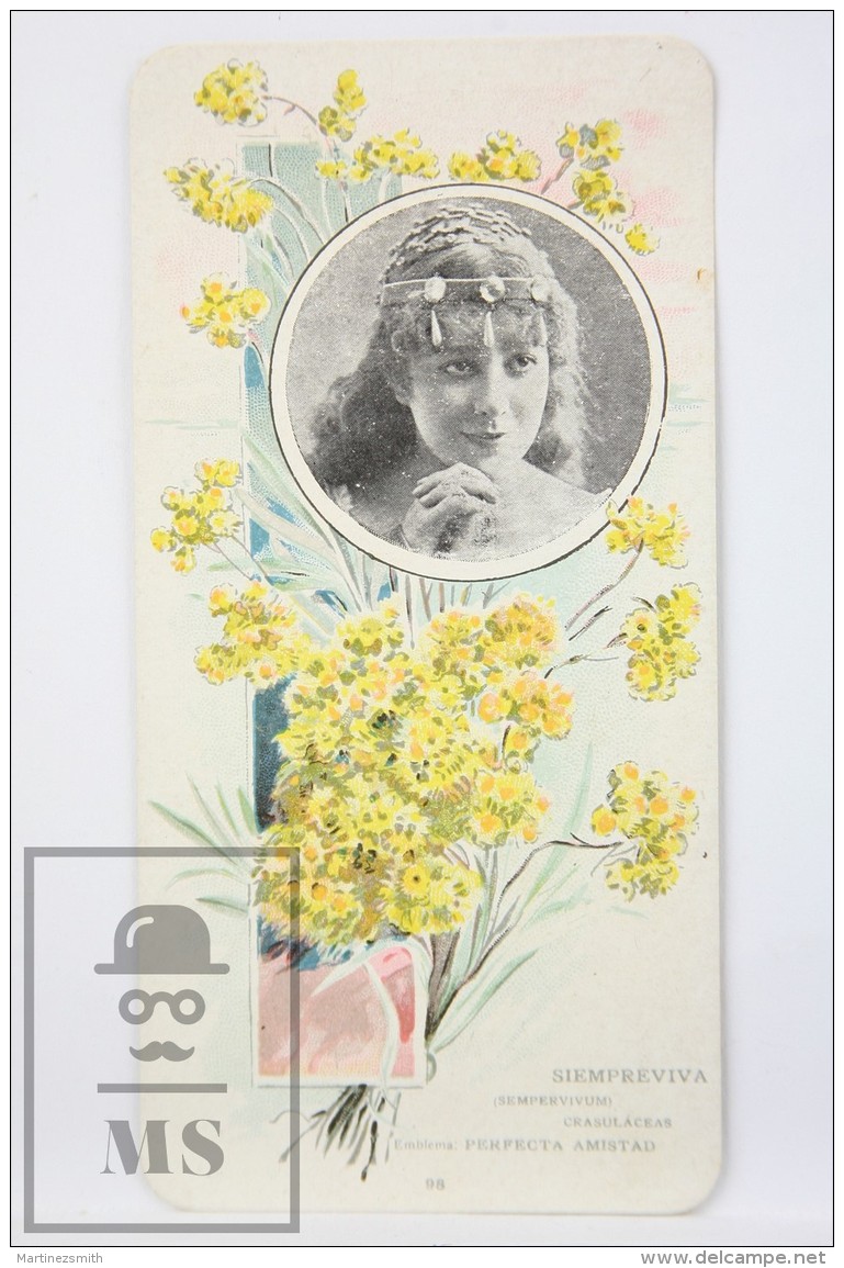 Old Modernist Trading Card / Chromo Flower - Immortelle &amp; Model - Jaime Boix N&ordm; 98 - Otros & Sin Clasificación