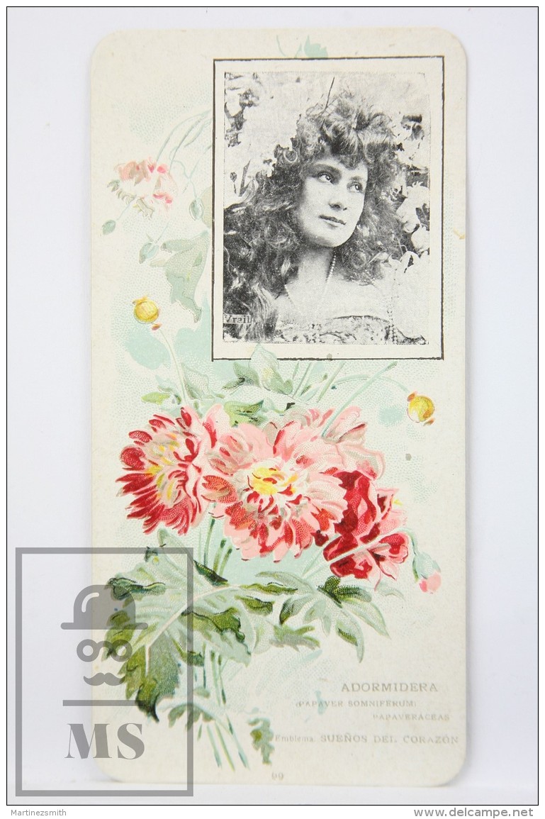 Old Modernist Trading Card / Chromo Flower - Opium Poppy &amp; Model - Jaime Boix N&ordm; 99 - Otros & Sin Clasificación