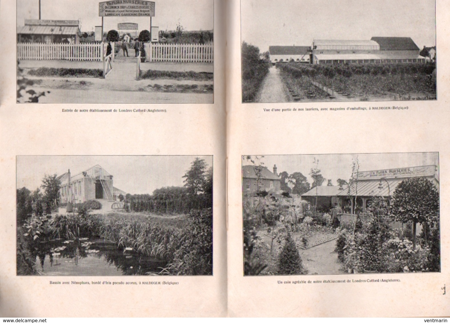 Catalogue 1911-1912 P&L De Coninck Frères Pépinièristes-Horticulteurs Maldegem Belgique - Jardinage