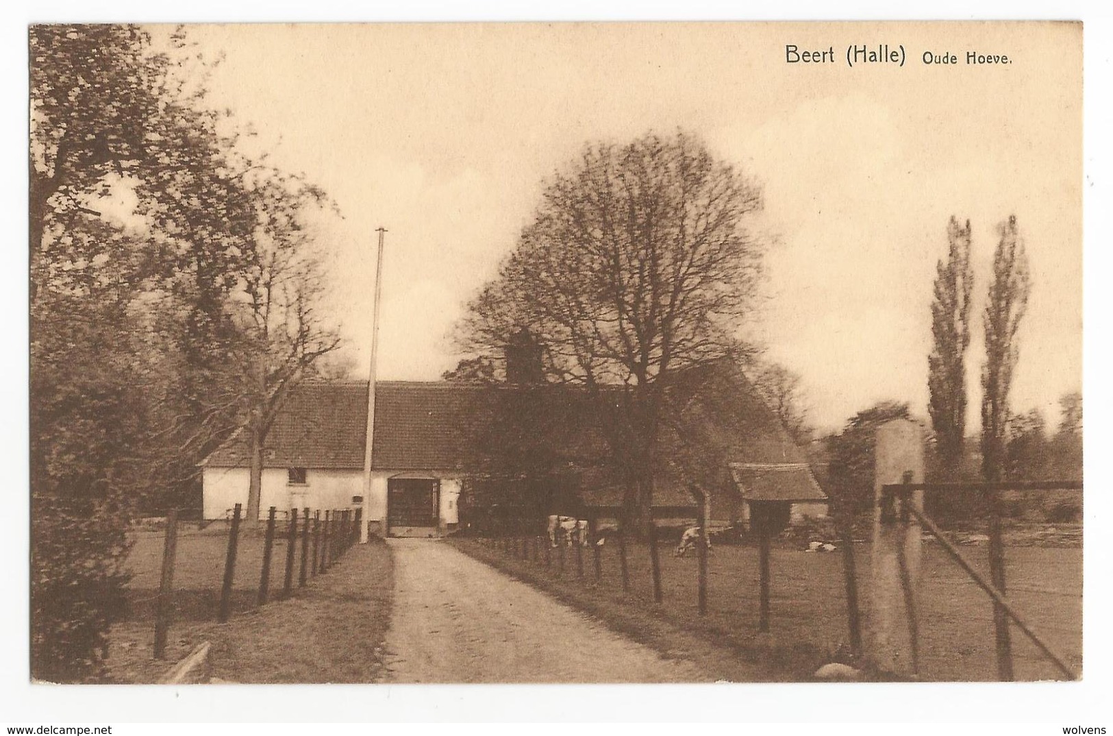 Beert Oude Hoeve Oude Postkaart Hal Pepingen - Pepingen