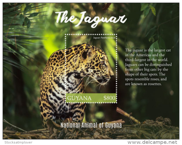 Guyana  2018 Fauna Jaguar I201805 - Guiana (1966-...)