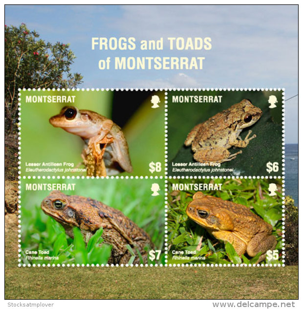 Montserrat   2018 Frogs And Toads  I201805 - Montserrat