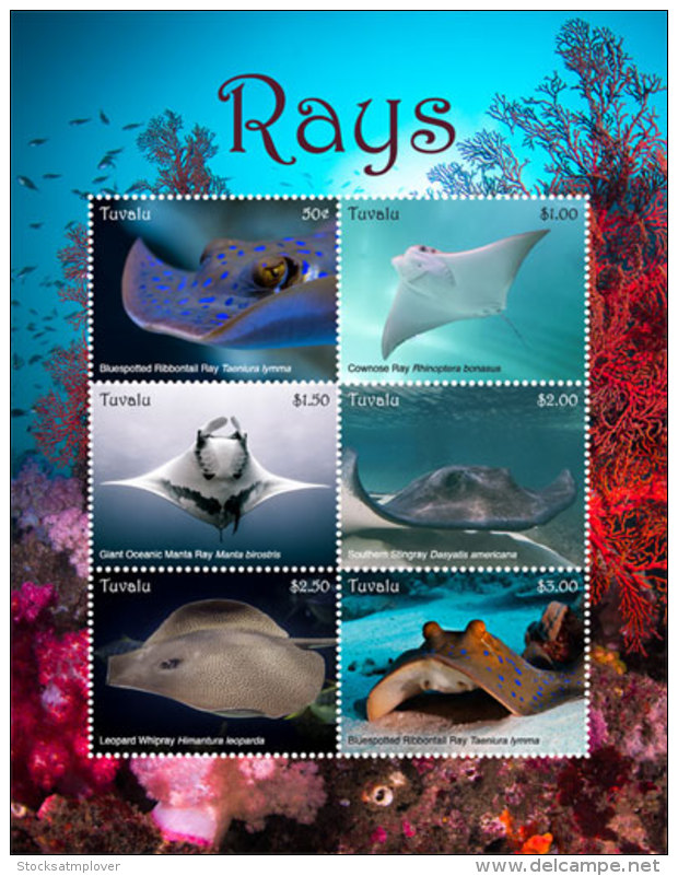 Tuvalu 2018 Fish Marine Life Rays   I201805 - Tuvalu