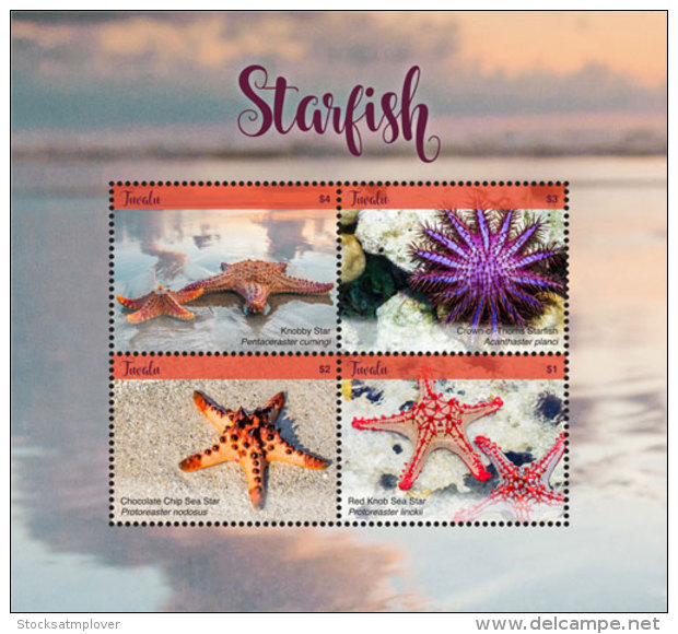 Tuvalu 2018 Fish Marine Life Starfish   I201805 - Tuvalu